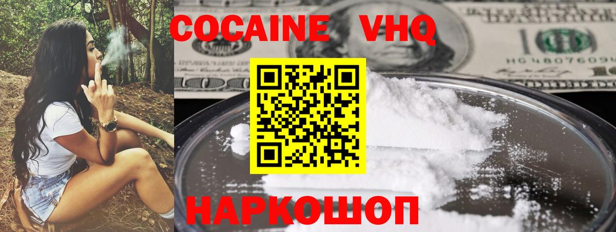 где можно купить наркотик  Вход с VPN  Сосновый Бор  COCAIN FishScale 