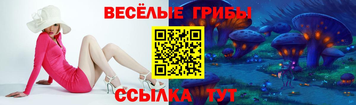 Галлюциногенные грибы GOLDEN TEACHER  Псилоцибиновые грибы Magic Shrooms  Вход с VPN  Сосновый Бор 