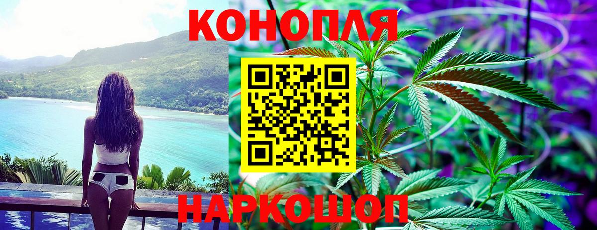 Каннабис Bruce Banner Сосновый Бор